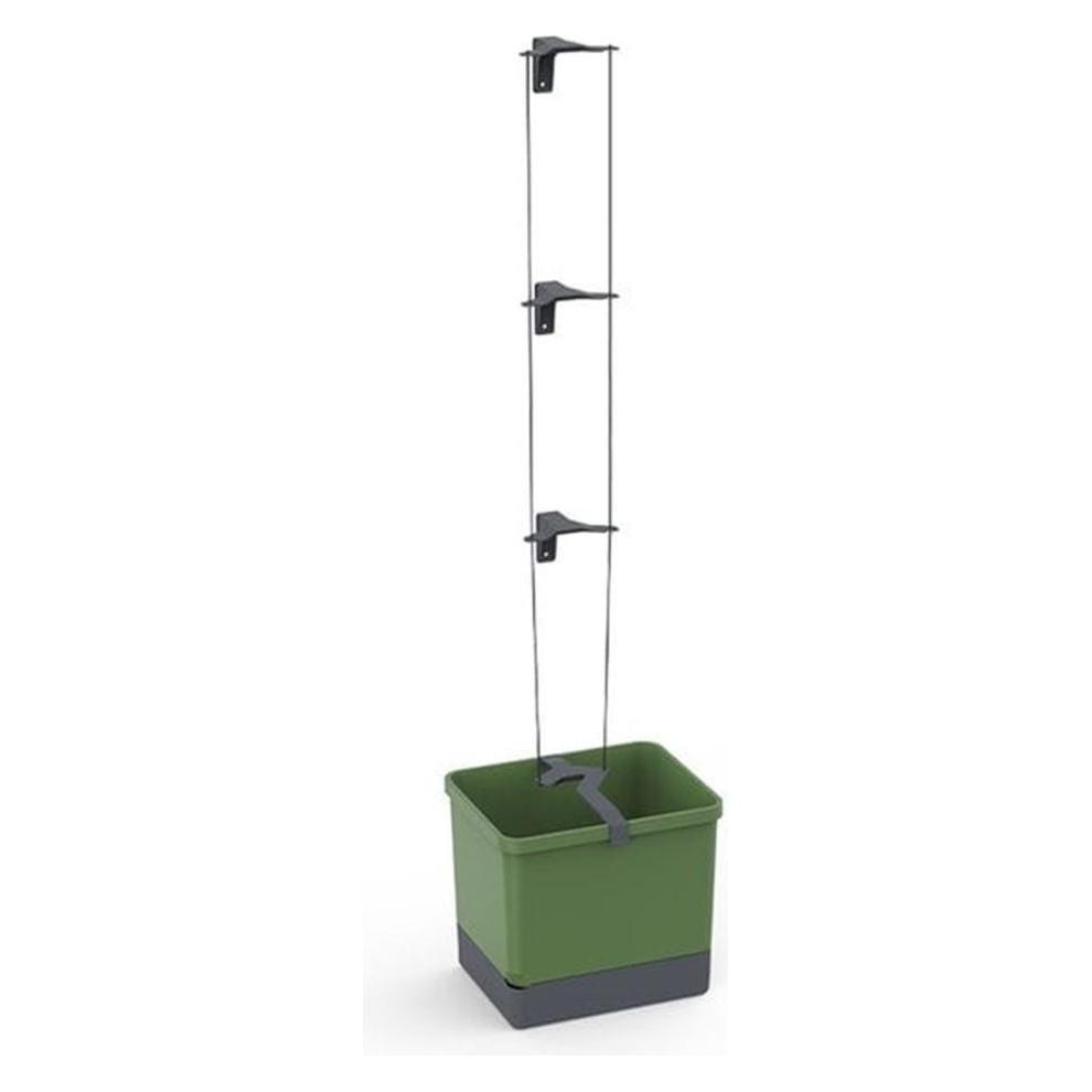 Gusta Garden Curt Cucumber (35 x 33.50 x 25 cm) (103C10)