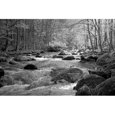 Fototapete PAPERMOON "Fluss im Wald Schwarz & Weiß", schwarz (schwarz, weiß), B:4,5m L:2,8m, Vlies, Tapeten