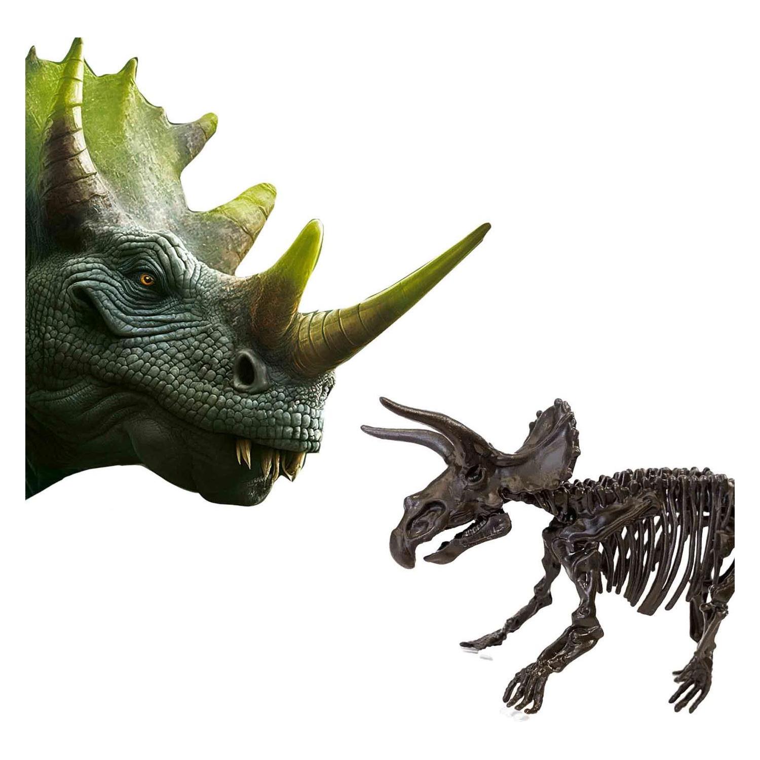 Ses Explore Dino and Skeleton Dig 2in1 - Triceratops (25093)
