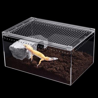 Gallon Acrylic Reptile Breeding Box Magnetic Terrarium Enclosure Gallon Acrylic Reptile Breeding Box Magnetic Terrarium Enclosure