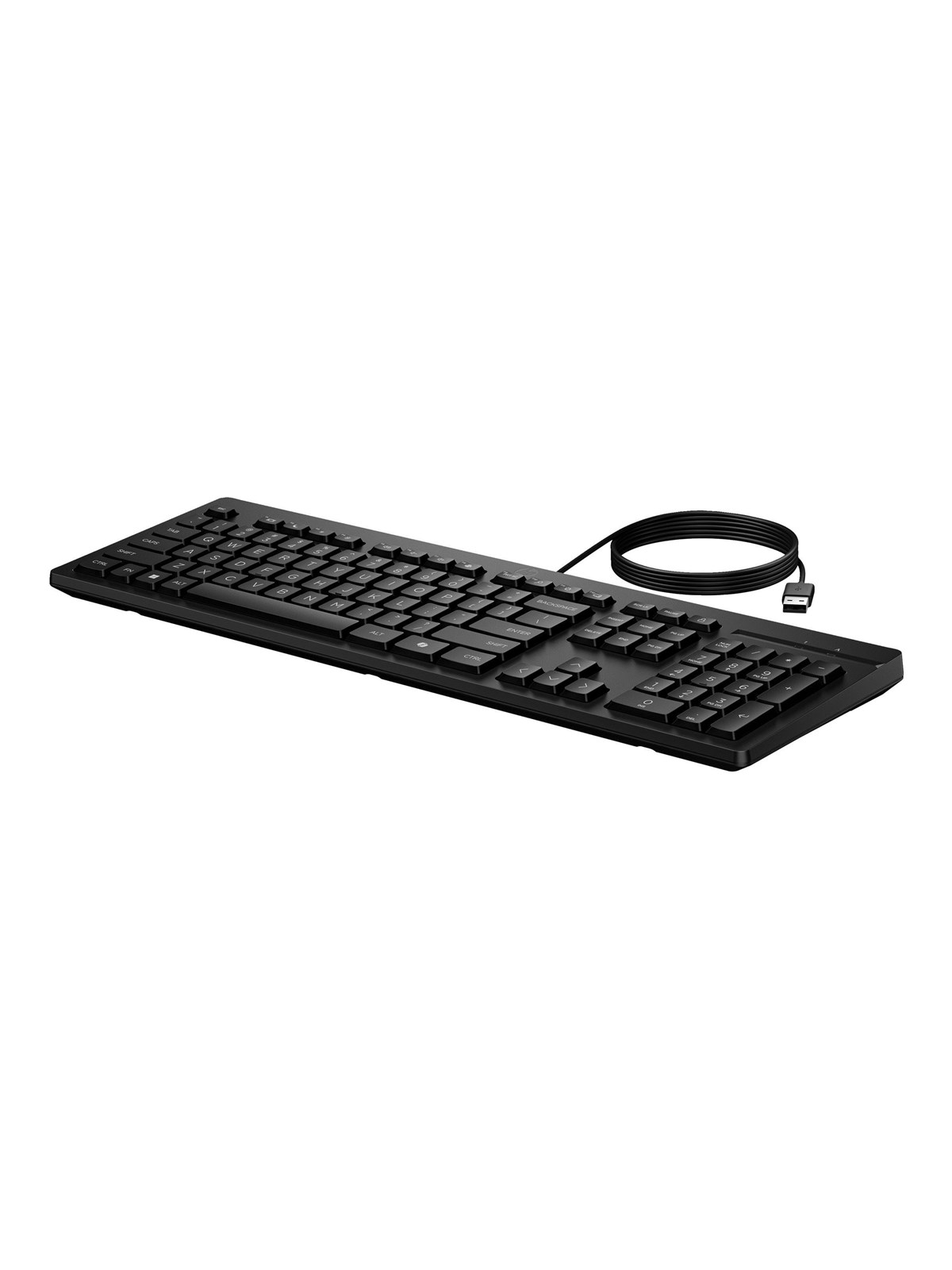 HP 125 G2 - Tastatur - Full-Size - Deutsch - Schwarz
