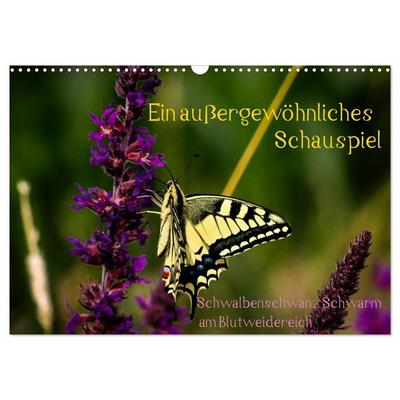 Ein außergewöhnliches Schauspiel (Wandkalender 2027 DIN A3 quer), CALVENDO Monatskalender