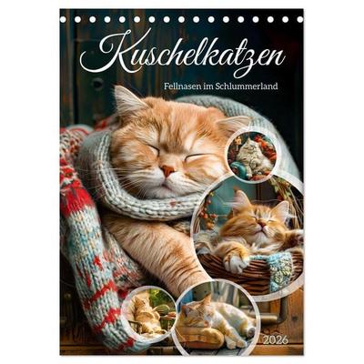 Kuschelkatzen - Fellnasen im Schlummerland (Tischkalender 2026 DIN A5 hoch), CALVENDO Monatskalender