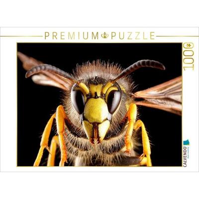 CALVENDO Puzzle Gemeine Wespe (Vespula vulgaris) | 1000 Teile Lege-Größe 64 × 48 cm Foto-Puzzle für glückliche Stunden