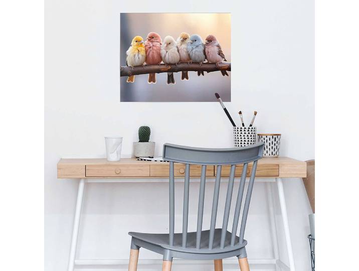 Poster Pastel Birds Papier Multicolor 40 x 50 x 0cm