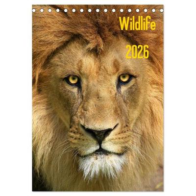 Wildlife 2026 (Tischkalender 2026 DIN A5 hoch), CALVENDO Monatskalender