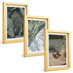 BILDER SET 3er Set - 20x30 cm Goldrahmen - Tropische Pflanzen für den Urlaub