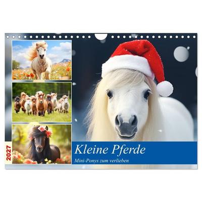 Kleine Pferde. Mini-Ponys zum verlieben (Wandkalender 2027 DIN A4 quer), CALVENDO Monatskalender