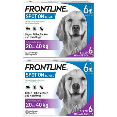 Frontline Spot ON Hund (20-40kg) gegen Zecken und Flöhe (Doppelpack) 2x6 St Einzeldosispipetten