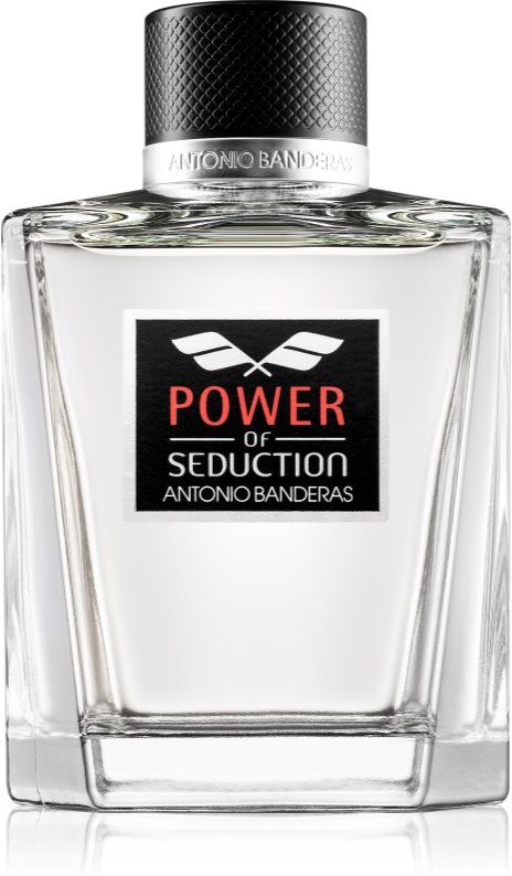 Banderas Power of Seduction Eau de Toilette pour homme 200 ml