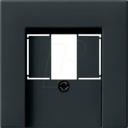 GIRA55 TAE SW - Abdeckung für TAE und USB schwarz matt