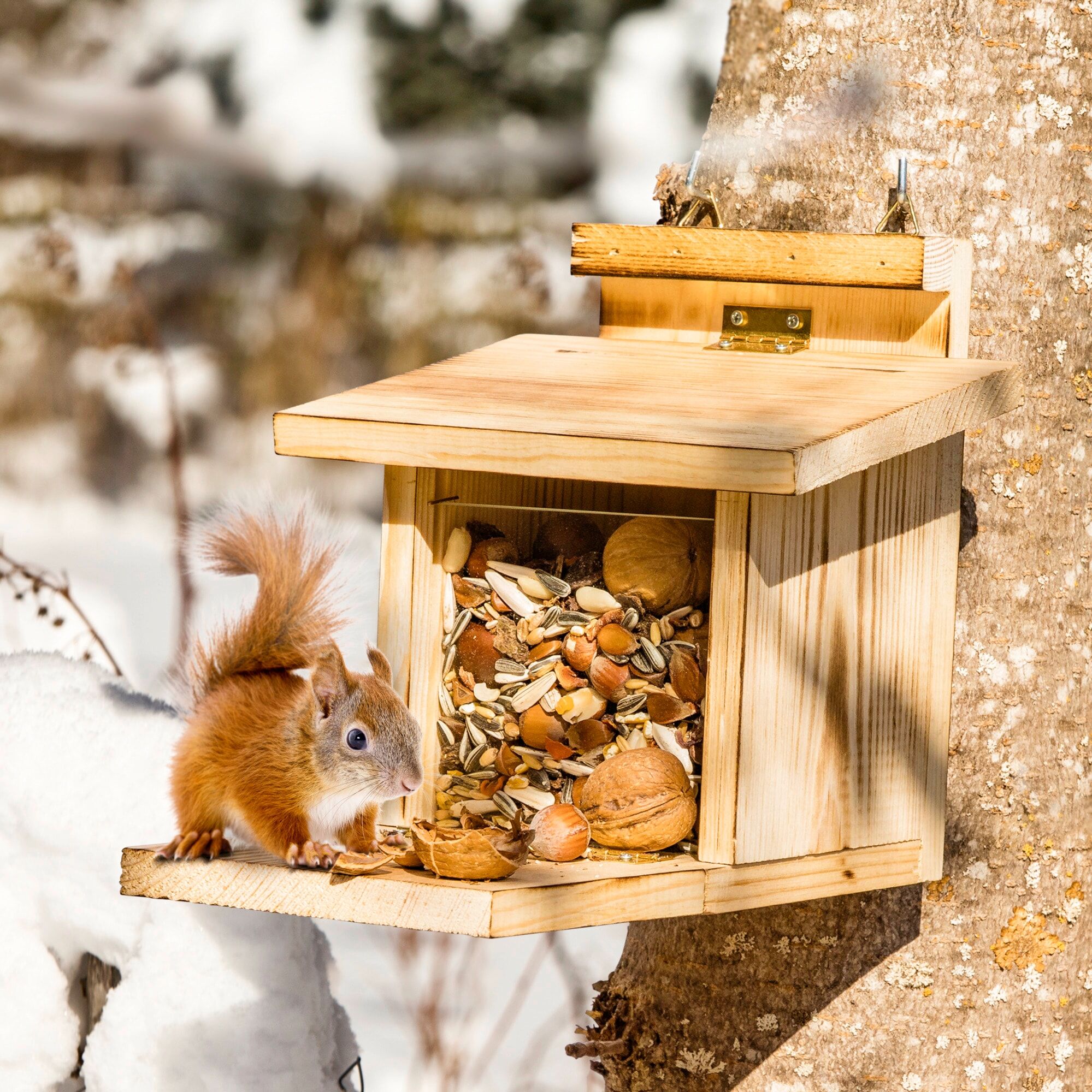 Futterhaus WINDHAGER "für Eichhörnchen mit klappbarem Boden, Überwinterungshilfe", beige (natur), B:17cm H:18cm L:22cm, Futterautomaten, Futterstation aus natürlichem Holz, Nussstation für Wildtiere
