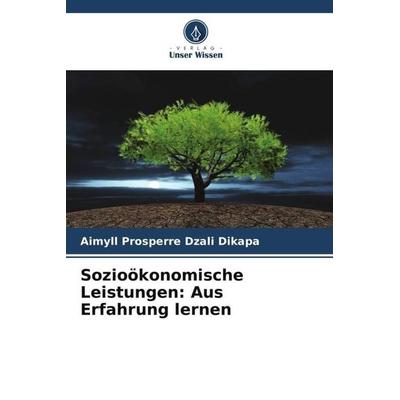 Sozioökonomische Leistungen: Aus Erfahrung lernen, Taschenbuch von Aimyll Prosperre Dzali Dikapa, Verlag Unser Wissen, 978-620-5-87303-8
