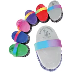 Kardätsche Regenbogen Kinder Putzzeug