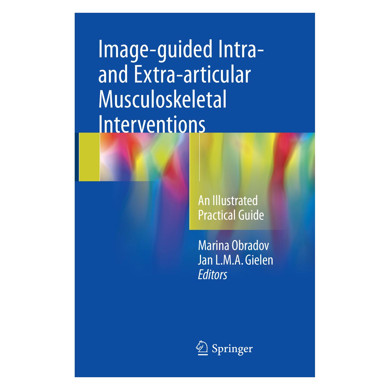 Springer Image-guided Intra- and Extra-articular Musculoskeletal Interventions (Englisch, Jan L.M.A. Gielen, Marina Obradov) (56071884)