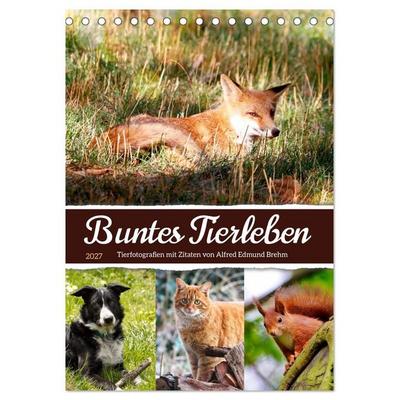 Buntes Tierleben (Tischkalender 2027 DIN A5 hoch), CALVENDO Monatskalender