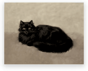 Inspire Picks Vintage Owl Wall Art Moody Cottagecore Dark Academia Nature Canvas Print 1 40x50 Cm No Frame
