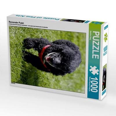 CALVENDO Puzzle Rennender Pudel | 1000 Teile Lege-Größe 64x48cm Foto-Puzzle für glückliche Stunden