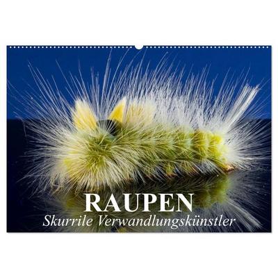 Raupen - Skurrile Verwandlungskünstler (Wandkalender 2027 DIN A2 quer), CALVENDO Monatskalender