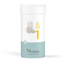 BIOCHEMIE Pflüger 1 Calcium fluoratum D 12 Pulver 100 g