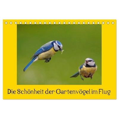 Die Schönheit der Gartenvögel im Flug (Tischkalender 2027 DIN A5 quer), CALVENDO Monatskalender