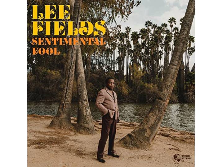 Sentimental Fool