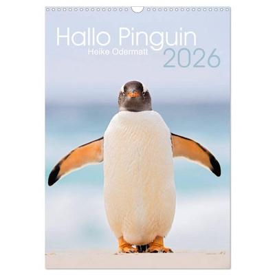 Hallo Pinguin (Wandkalender 2026 DIN A3 hoch), CALVENDO Monatskalender