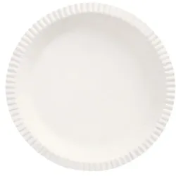 Starpak 150 Schalen, Pappe rund Ø 19 cm · 2,4 cm weiss