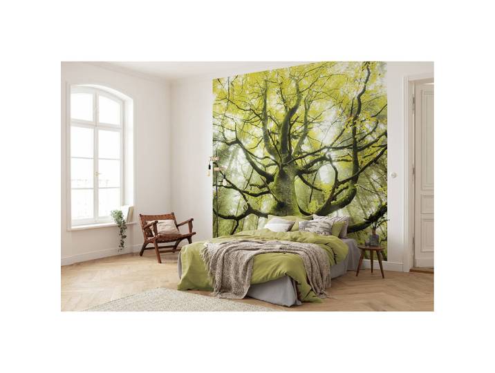 Papier peint intissé Arbre enchanté 300cm