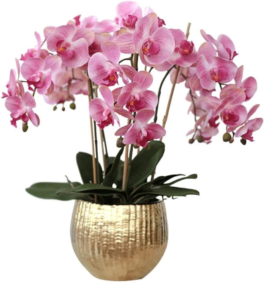 Kunstorchidee Arrangement Roze - Natuurlijke Nepbloemen Decoratie - 65 cm Hoog