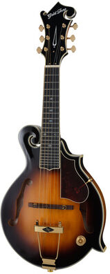 Gold Tone F6-Plus Sunburst Satin