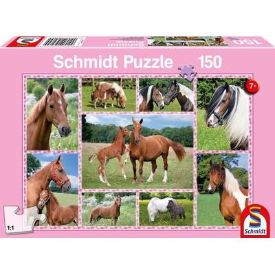 Puzzle Schmidt Spiele 56269 Pferdeträume Kinder 150 Teile