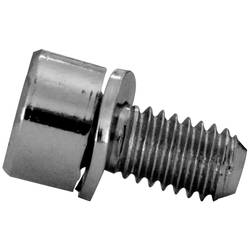 Striebel & John 2CPX061121R9999 ZW32P4 Schrauben 6x12 Packeinheit 4 Stück Schrauben 4 St.