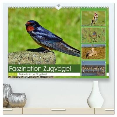 Faszination Zugvögel - Rekorde in der Vogelwelt (hochwertiger Premium Wandkalender 2027 DIN A2 quer), Kunstdruck in Hochglanz