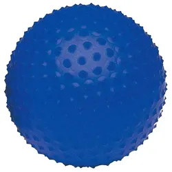 Togu Igelball Senso Ball Mini