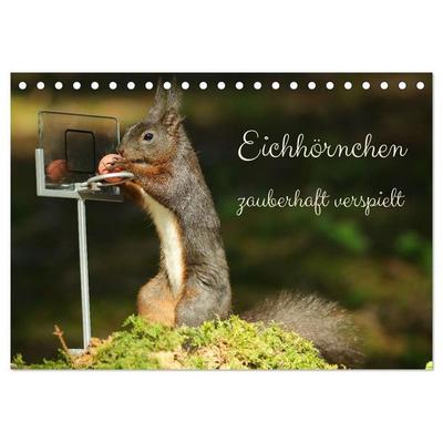 Eichhörnchen - zauberhaft verspielt (Tischkalender 2027 DIN A5 quer), CALVENDO Monatskalender