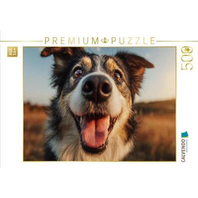 CALVENDO Puzzle Pures Hundeglück im Abendlicht | 500 Teile Lege-Größe 48 × 36 cm Foto-Puzzle für Erwachsene