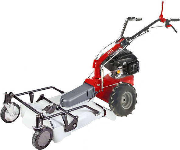 Eurosystems P55  Benzin-Schlegelmulcher - Wiesenmulcher PRO V2  RV200