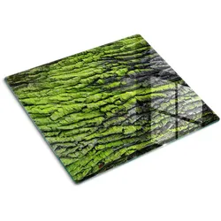 GLASPLATTE 60x52 cm Baumrinde
