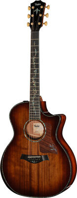 Taylor PS14ce Figured Urban Ironback Shaded Burst Hochglanz