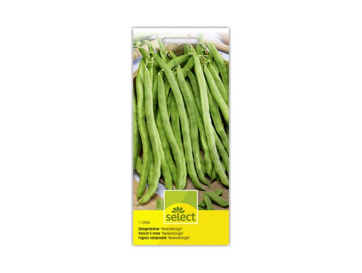 Select Stangenbohne