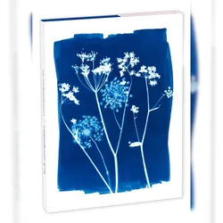 Clairefontaine 5x Cyanotype, Korrespondenzset 12x16,5 cm mit 8 Einzelkarten 11x15,5 cm sortiert und 8 Umschlägen Pollen C6 Naturweiß - 83507C