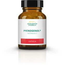 Pycnogenol 14 G