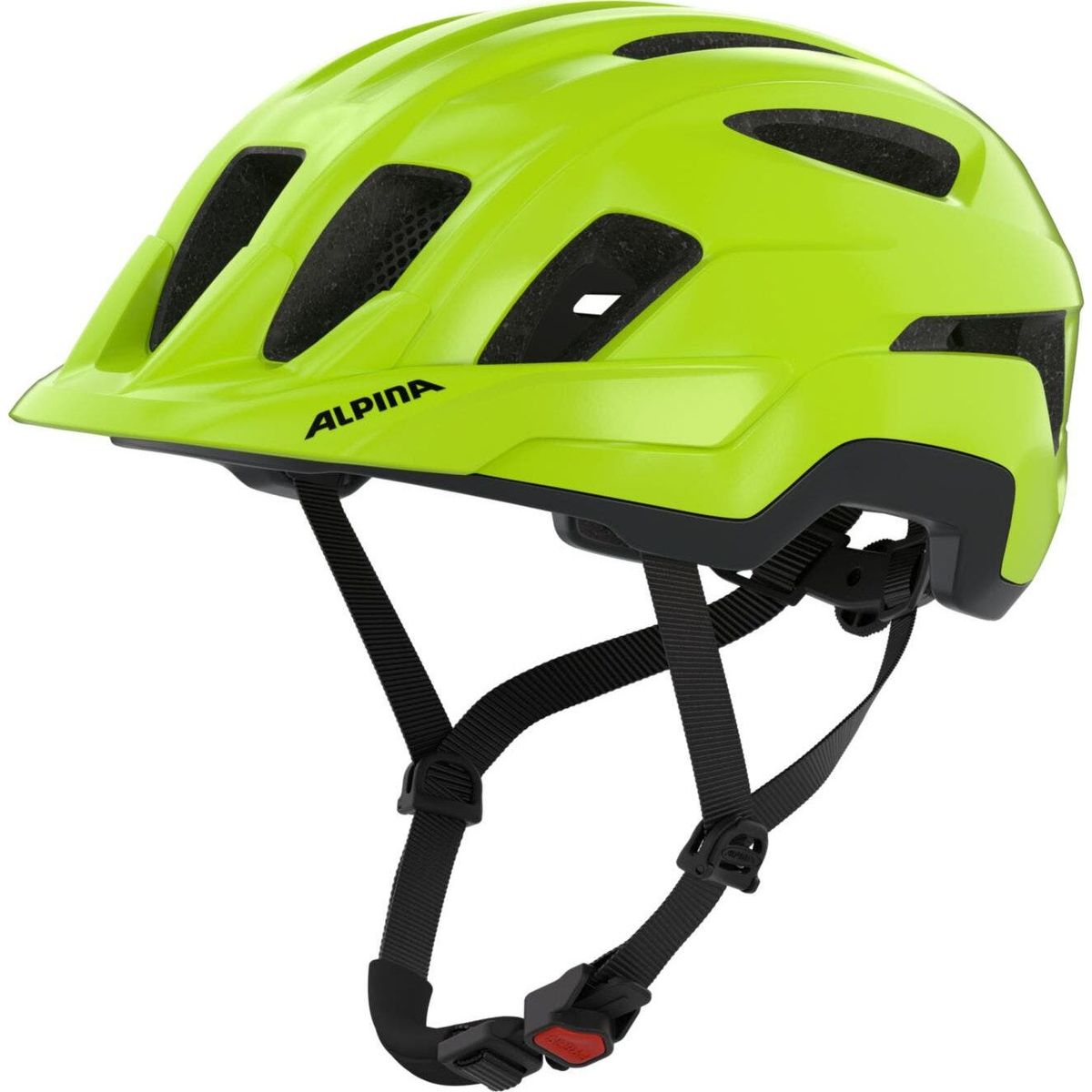Alpina Paranus be-visible gloss (47) 52-56 A9804147