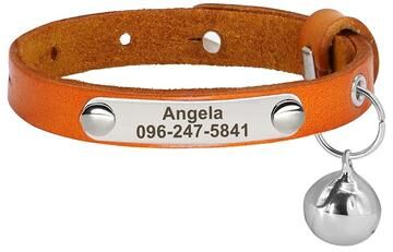 Uplifted Finds Signature Series Personalized Identity Collar 320 Orange (15 23cm)