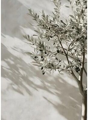 Uplifted Finds Retro Elegant Olive Tree & Lemon Canvas Poster   Vintage Mediterranean Vase Wall Art 2507291236 80 X 120 Cm