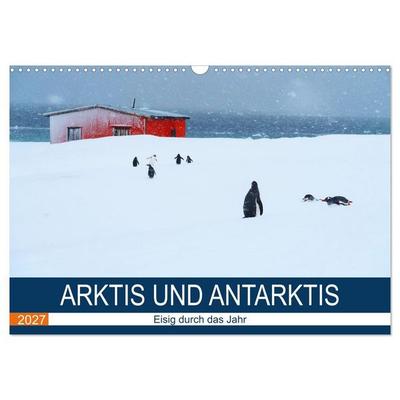 Arktis und Antarktis - Eisig durch das Jahr (Wandkalender 2027 DIN A3 quer), CALVENDO Monatskalender