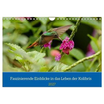 Faszinierende Einblicke in das Leben der Kolibris (Wandkalender 2027 DIN A4 quer), CALVENDO Monatskalender