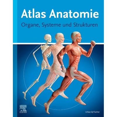 Atlas Anatomie für Laien, Gebundene Ausgabe von Elsevier GmbH, Urban & Fischer in Elsevier, 978-3-437-44503-3