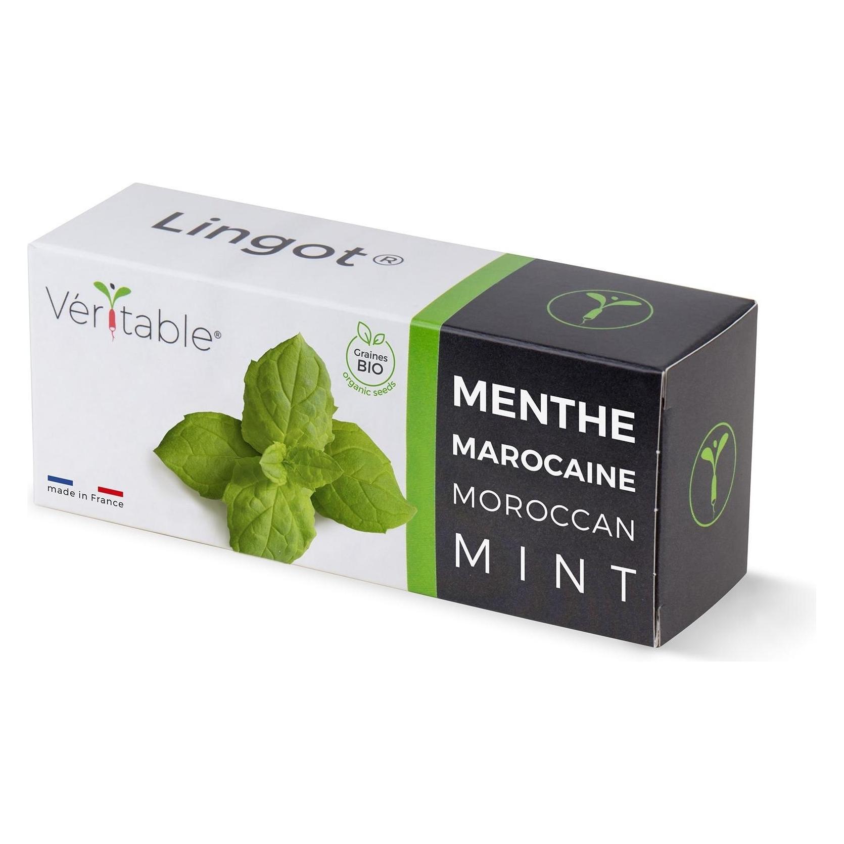 Véritable Marokkanische Minze (Kräutersamen) (VLIN-A10-Men056)